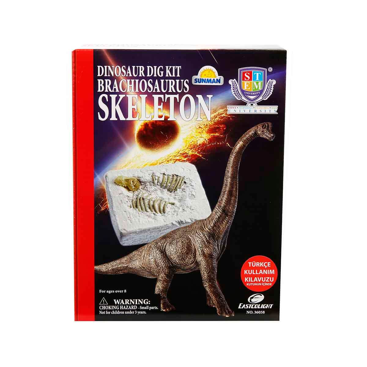 Set educativ descopera scheletul de Brahiozaur