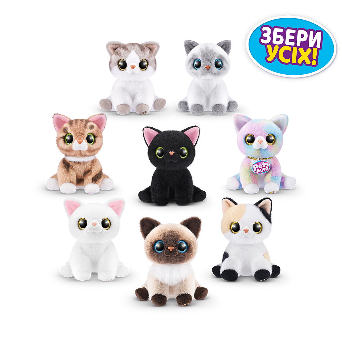 Pets alive kittens
