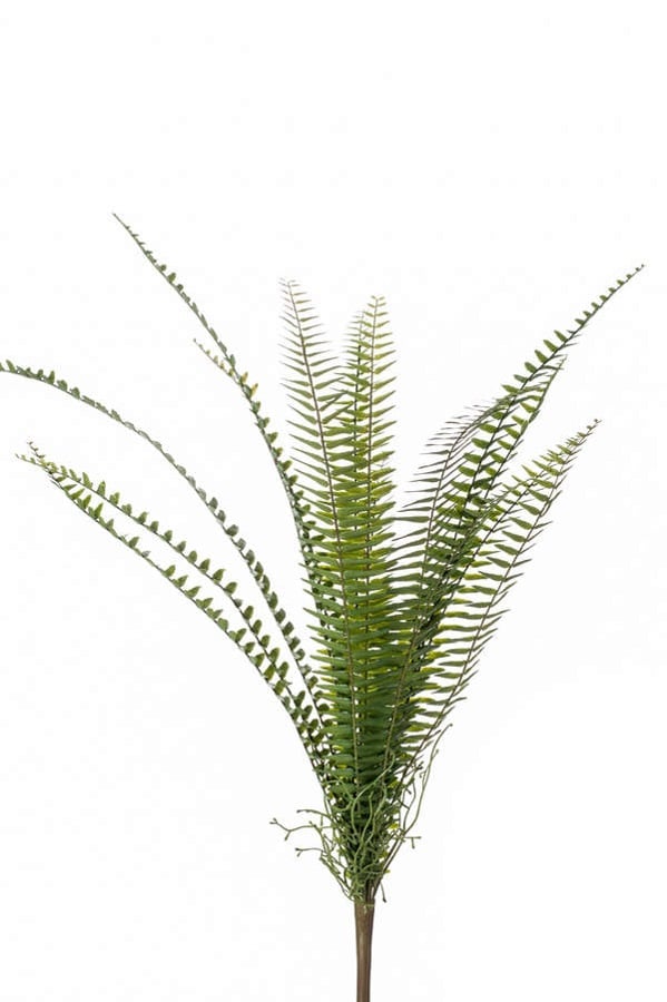 Tufa artificiala feriga Nephrolepis, 60cm, 15 frunze