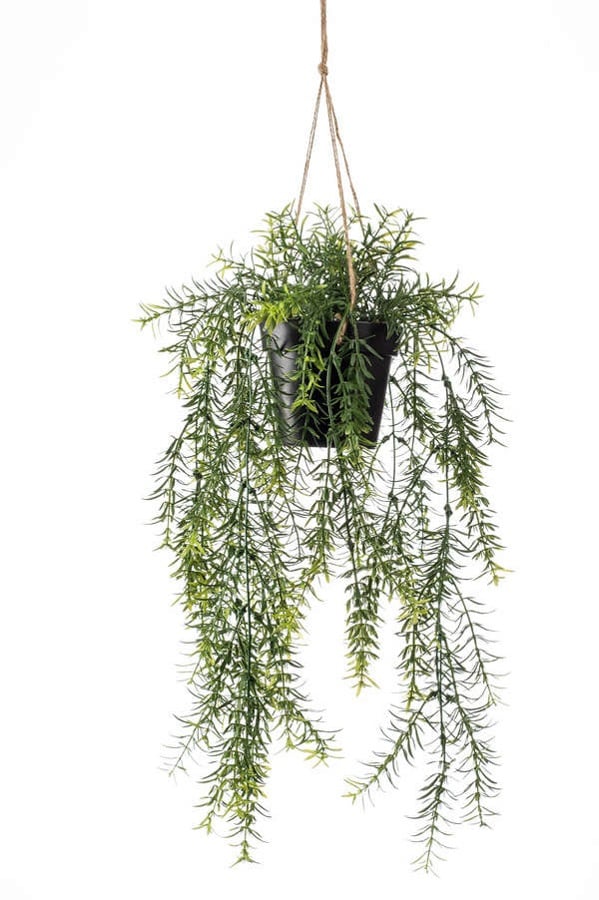 Asparagus artificial suspendat, in ghiveci, 65cm