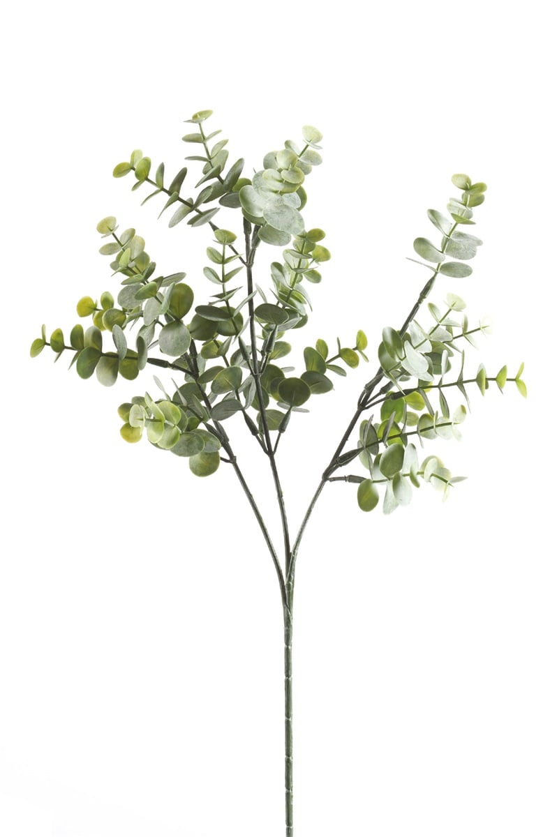 Ramura artificiala de eucalipt cu efect pudrat, 3 crengute, 65cm
