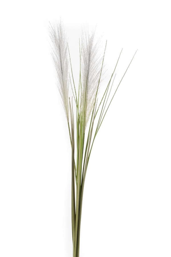 Ramura de iarba artificiala Cortaderia, 2 tulpini, crem, 95cm