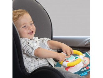 Центр разработки коллекции автомобилей "Dreamy Koalas"- DRIVING (sunet, lumina)