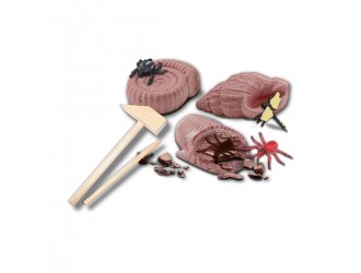 Explorer Series Set - Раскопки окаменелых насекомых SES CREATIVE