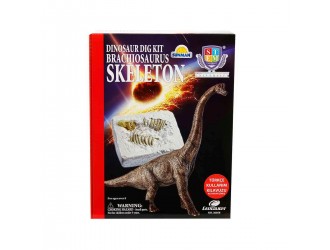36058 Образовательный набор для изучения скелета брахиозавра