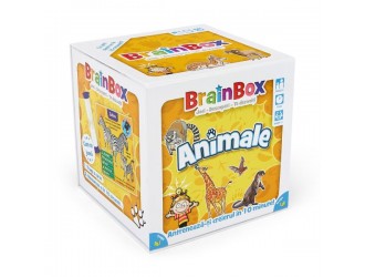 Игра BrainBox - Животные