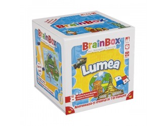 G114001 Игра BrainBox - Мир