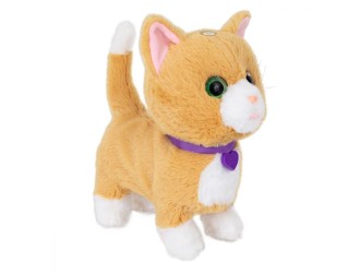 Noriel Pets - pisicuta Tabby