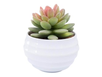 Planta artificiala suculenta verde-roz10 cm, ZJA361806
