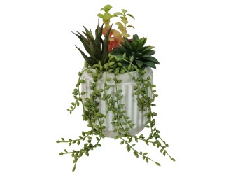 Aranjament plante  suculente si curgatoare artificiale in ghiveci 20 cm, ZJA361809