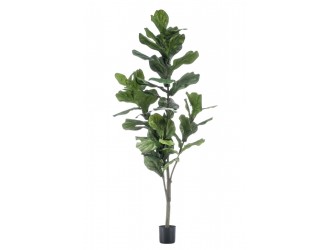 Ficus Lyrata artificial in ghiveci, 150cm, 50 frunze