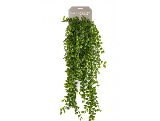 Tufa suspendata artificiala Ficus Pumila, 6 ramuri, 80cm
