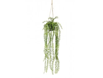 Ficus pumila artificial, suspendat, 85cm