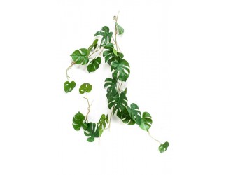 Ghirlanda artificiala de Monstera, 110cm