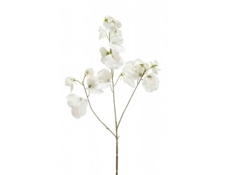 Ramura cu flori Lathyrus artificiala, crem, 3 crengute, 75cm