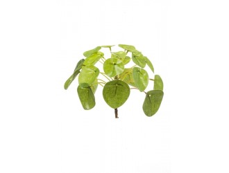 Tufa artificiala Pilea mini, 13cm, 21 frunze