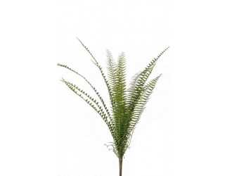 Tufa artificiala feriga Nephrolepis, 60cm, 15 frunze