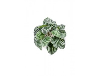 Tufa artificiala Peperomia, verde/gri, 25cm