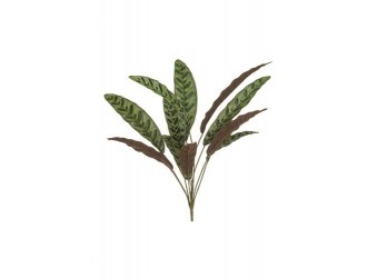 Tufa artificiala Calathea, 11 frunze, verde/bordo, 70cm