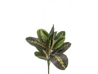 Tufa artificiala Maranta, verde, 30cm