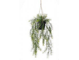 Asparagus artificial suspendat, in ghiveci, 65cm