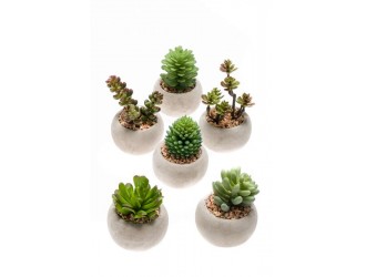 Set 6 plante suculente artificiale, in ghiveci de ciment, d 6,5cm