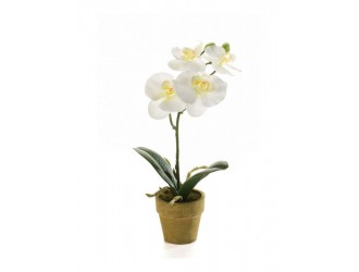 Orhidee artificiala mini Phalaenopsis, crem, 25cm, in ghiveci