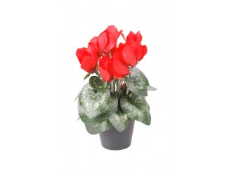 Tufa artificiala Cyclamen, rosu inchis, 25cm, in ghiveci