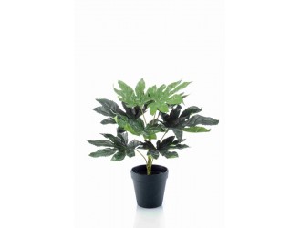Planta artificiala Fatsia, in ghiveci din plastic, 30cm