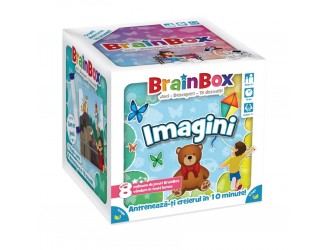 Образовательная игра BrainBox "Изображения"