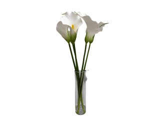 Buchet Pure Elegance in Vaza