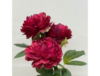Buchet Spring Dream in Vaza