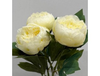 Buchet Noble Dream in Vaza
