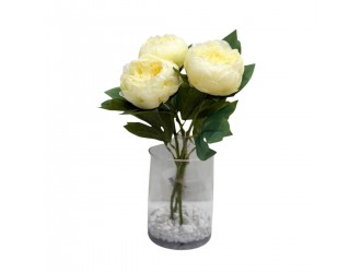 Buchet Noble Dream in Vaza