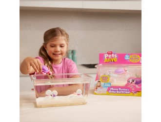 Set acvariu Mama Testoasa cu pui Pets Alive