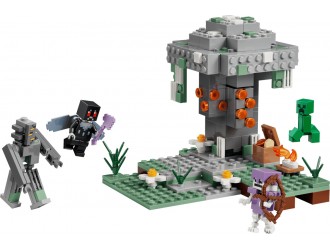 Set de constructie 21586 Gradina palida