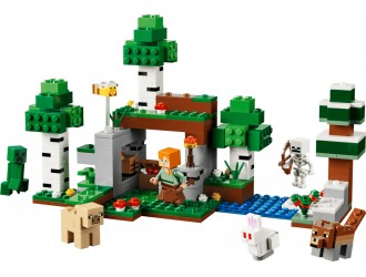 Set de constructie 21593 Aventura primei nopti